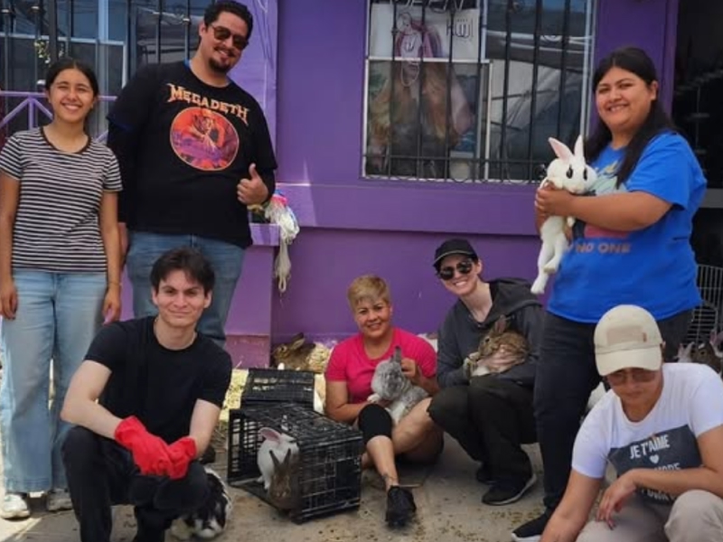 Voluntaria con un conejo